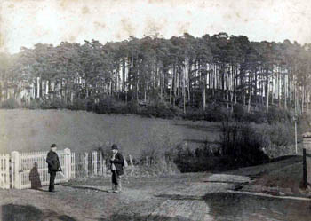 Wednesdon about 1900 - the boundary with Husborne Crawley ran, and runs, through here
